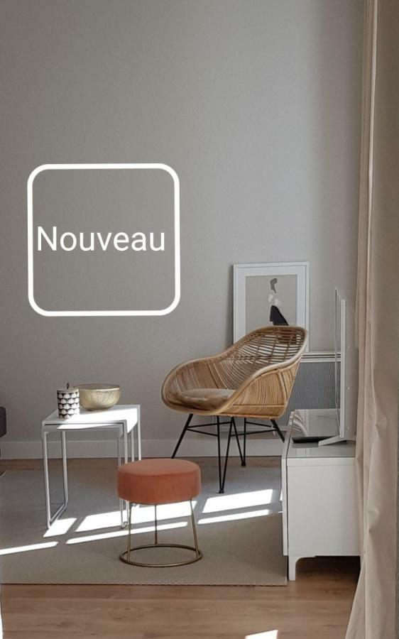 Apartament Le Voltaire Colmar Centre Zewnętrze zdjęcie